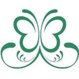 Vert emeraude créations