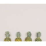 Ananas and co atelier