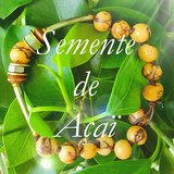 Semente de Açaï