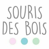 Souris des bois
