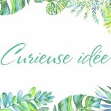 Curieuse idée