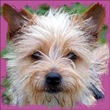 La Mâchette à papier