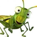 Jiminy-créations