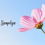 Scrapelyse