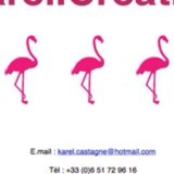 Karel's flamingos