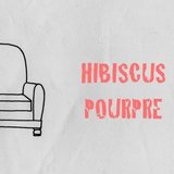 Hibiscuspourpre