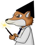 Welcome in wonderland