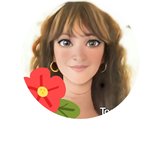 Les petits papiers de marie