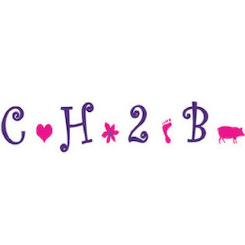 Ch2b