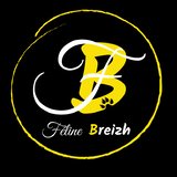 Féline breizh