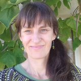 La chouette gribouille