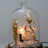 Histoires de lampes -