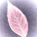 D'une feuille à l'autre mercerie