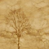 La maison de Tugdual