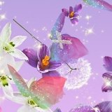 Rêveries Créatives 24