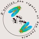 Les Cigales et les Fourmis