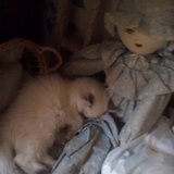 Créations de mimi78