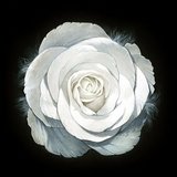 Tout le plaisir est pour moi