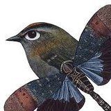 Oiseau dans la bouche