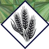 Atelier Brin De Paille