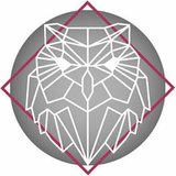 La chouette cendrée