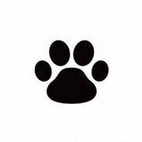 Mercerie de pattesdevelours