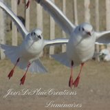 Jourdepluiecreations