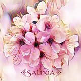 Salixia