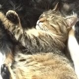 L'atelier de mauricette