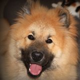 Mes tites creations du 57