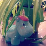 L'atelier des minipousses