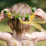 Du vent dans les idées