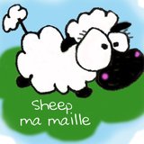 Sheep ma maille