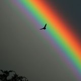 Arc-en-ciel-creatif59