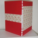 Les carnets de saturne