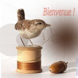 L'oiseau, mercerie et tissus