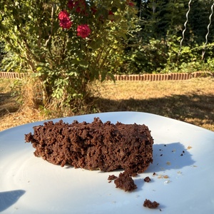 Gâteau courgette/choco