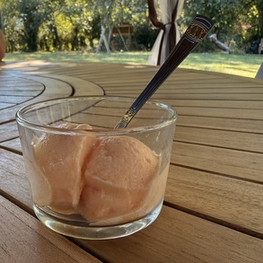 Sorbet melon