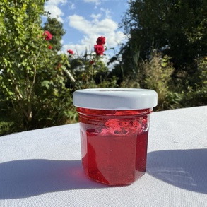 Gelée de groseille