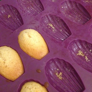 Madeleines