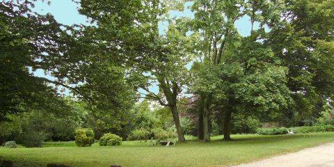 Jardin