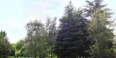 Parc de la résidence ( footing, balade, jeux pour enfants)