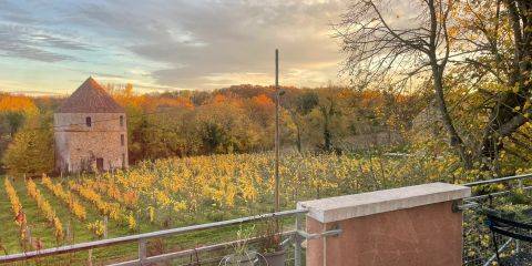 Terrasse avec vue sur Vignes