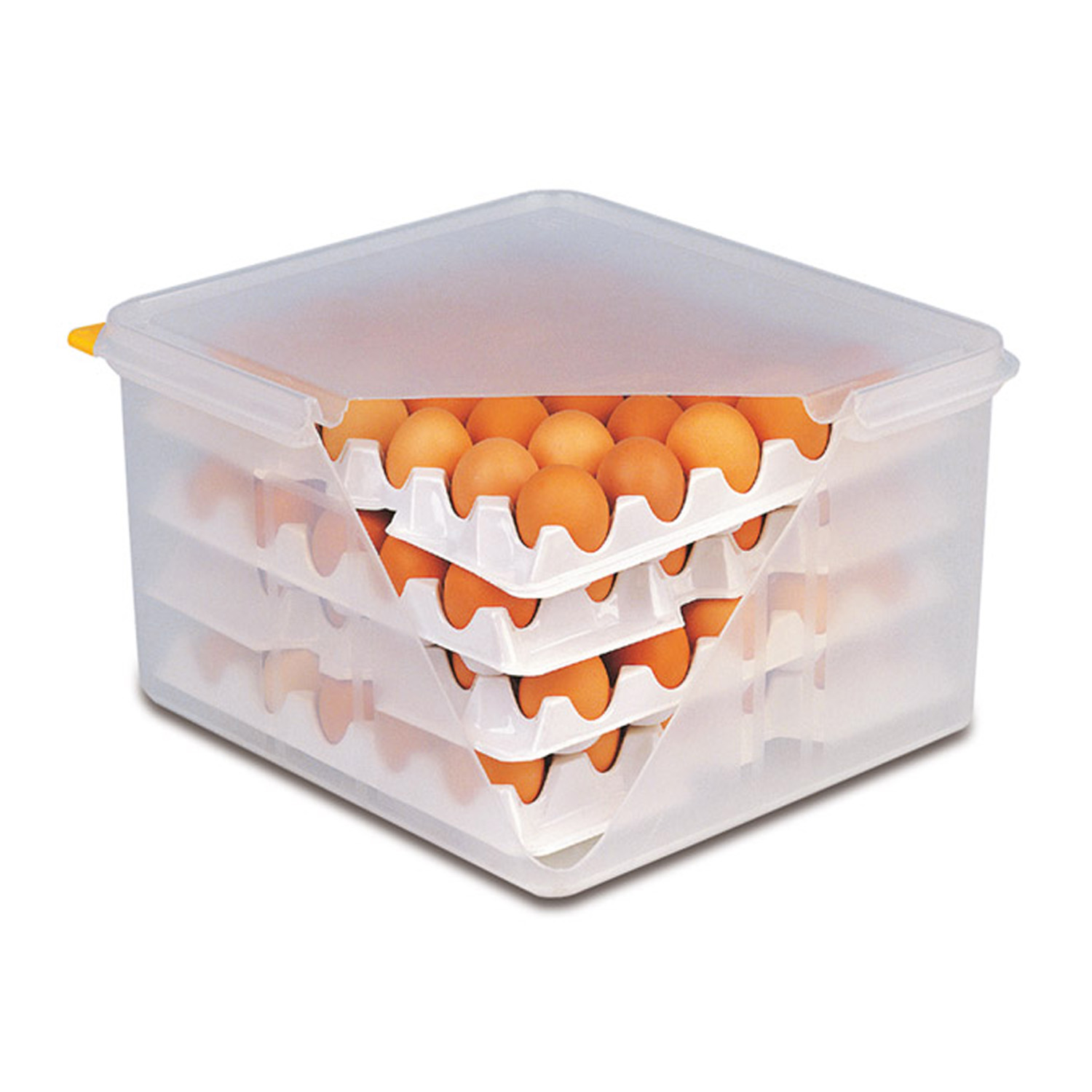 GN 2/3 Eier-Box 35,4 x 32,5 cm, H: 20 cm Polypropylen