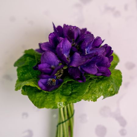 Boite de 10 bouquets de violette individuels | Fleurs à Croquer