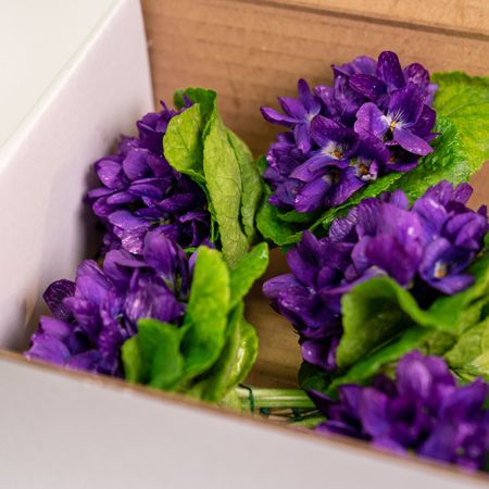 Boite de 10 bouquets de violette individuels | Fleurs à Croquer