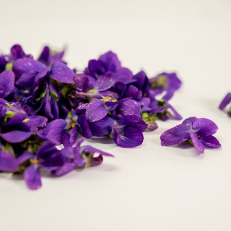 Catalogue - Violettes fraîches | Fleurs à Croquer | Fleurs à Croquer