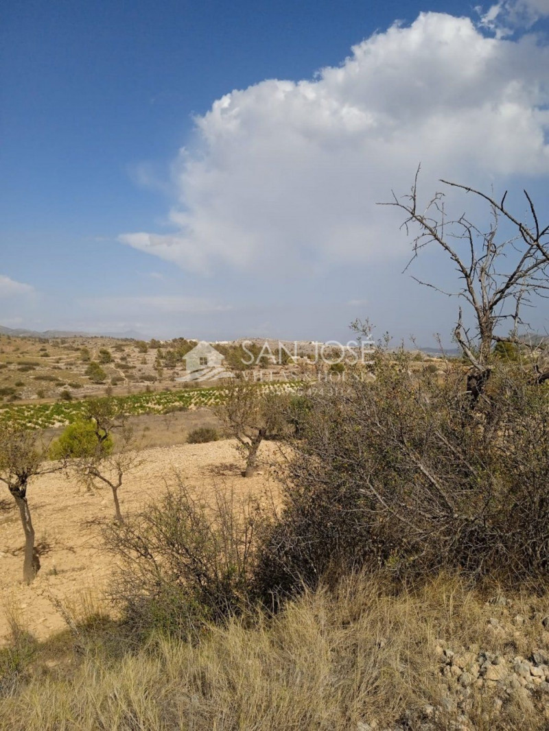 Terrenos baratos en Comunidad Valenciana - SpainHouses.net