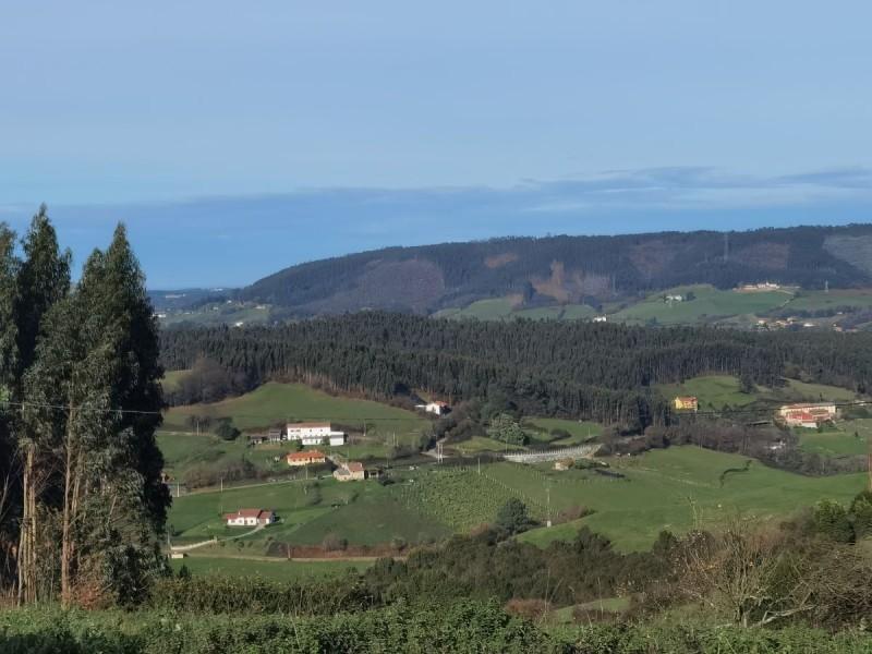 Plot for sale in Gijón - PHF-3115
