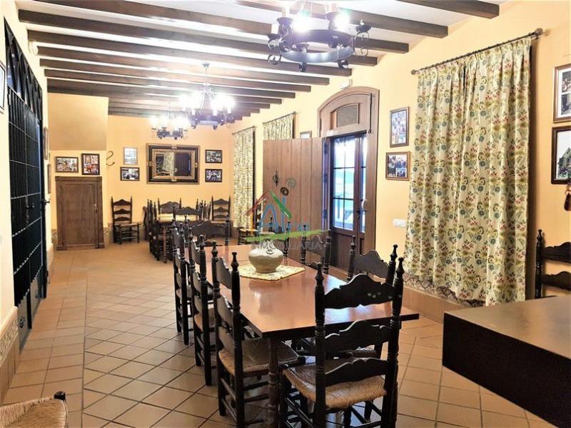Estudio en venta en Almonte - NZB-909